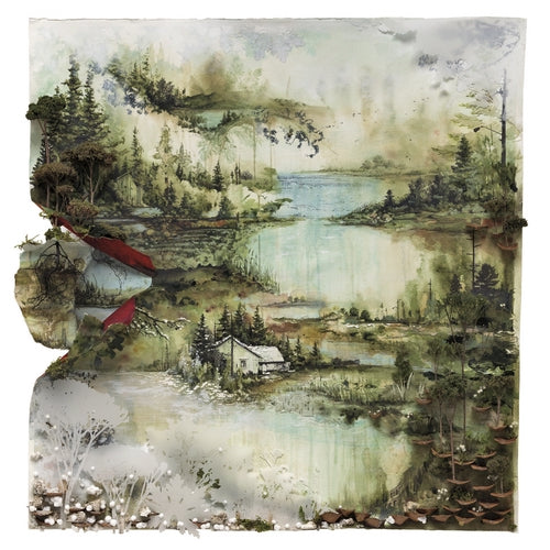 Bon Iver - Bon Iver, Bon Iver - LP