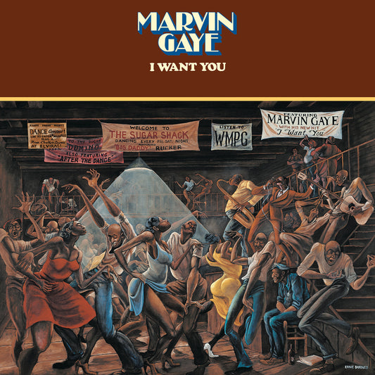 Marvin Gaye - I Want You - LP