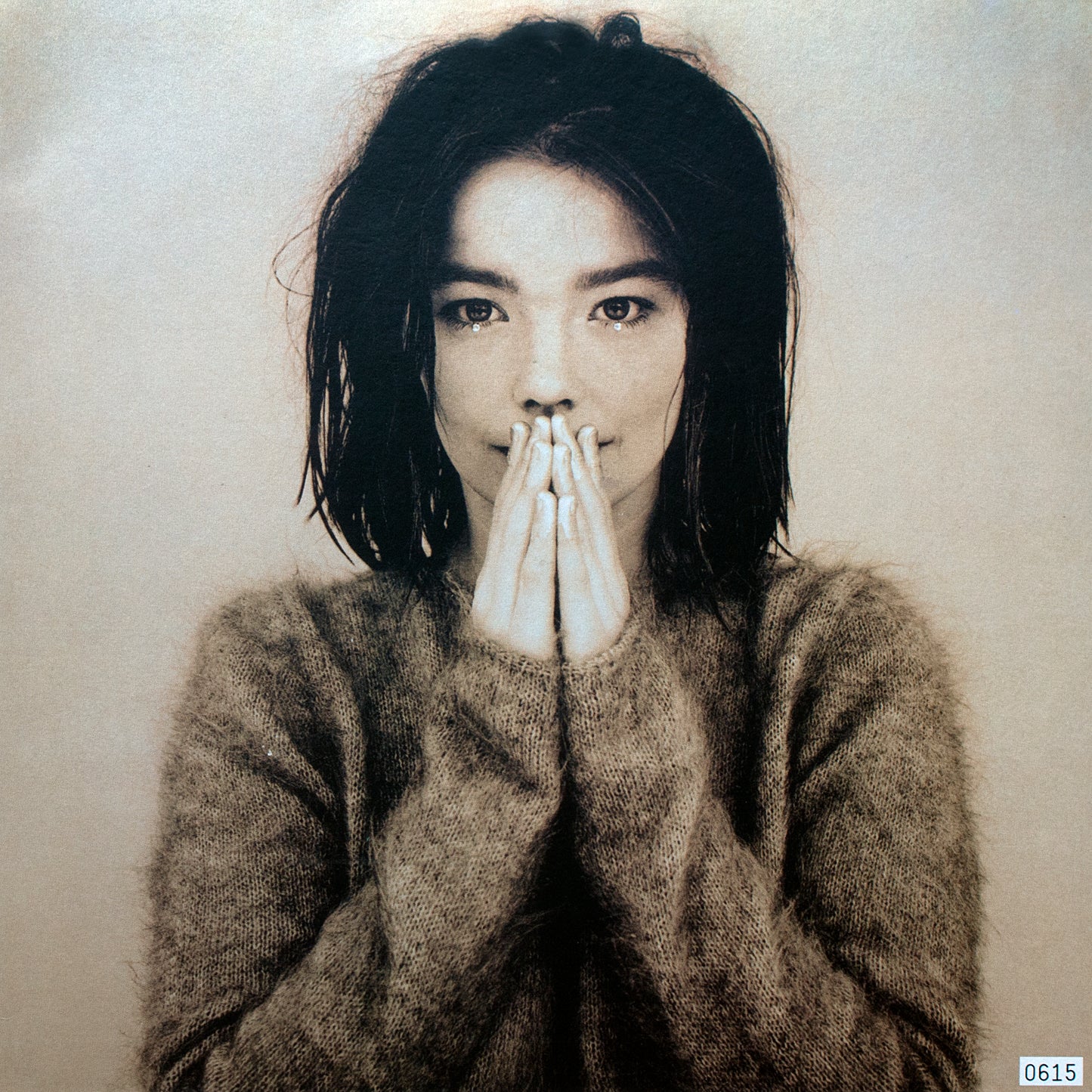 Bjork - Debut - LP