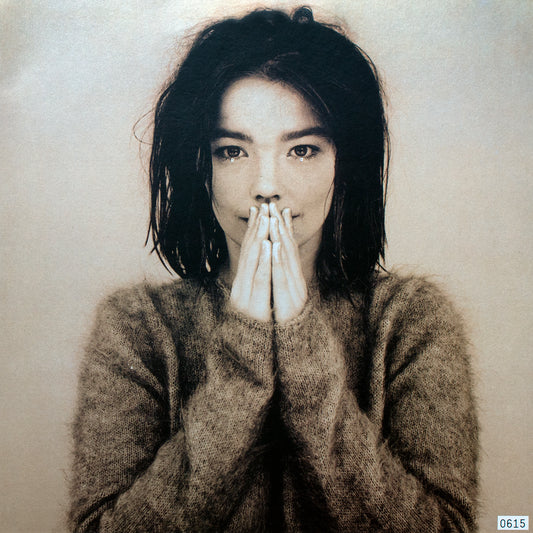 Bjork - Debut - LP
