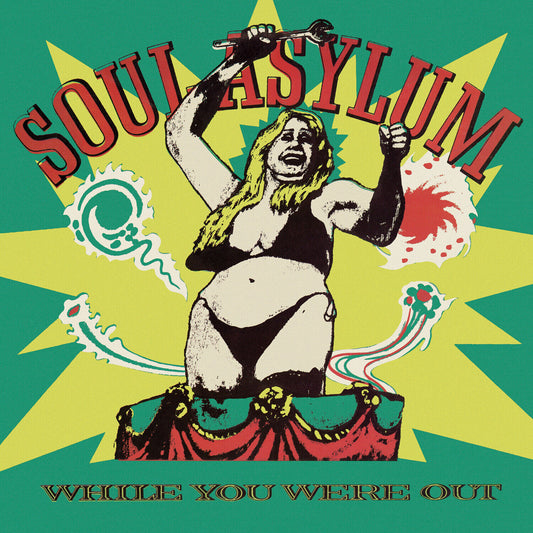 Soul Asylum - While You Were Out - LP